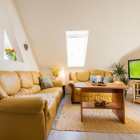 Waldblickwohnung Mit Schoener Terrasse Und Kamin Sebnitz Εξωτερικό φωτογραφία
