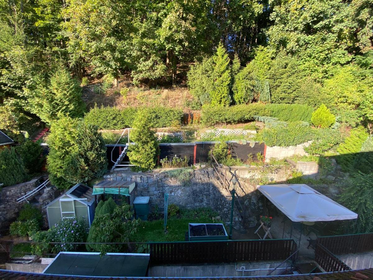 Waldblickwohnung Mit Schoener Terrasse Und Kamin Sebnitz Εξωτερικό φωτογραφία