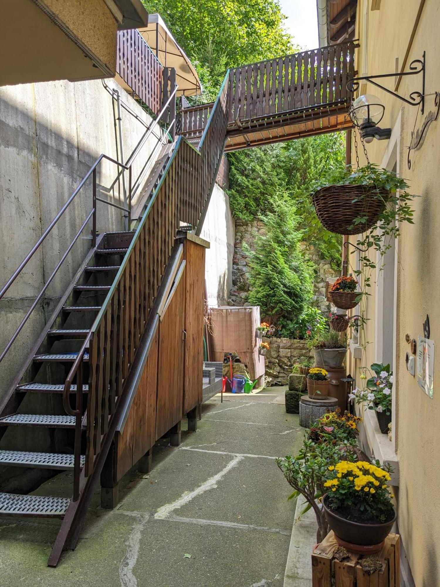 Waldblickwohnung Mit Schoener Terrasse Und Kamin Sebnitz Εξωτερικό φωτογραφία